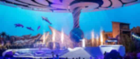 4 Night 5 Days Abu Dhabi Holiday Packages